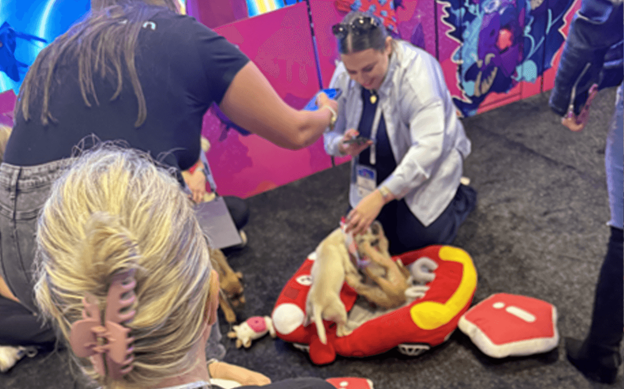 Exhibit-Design-Engagement_1